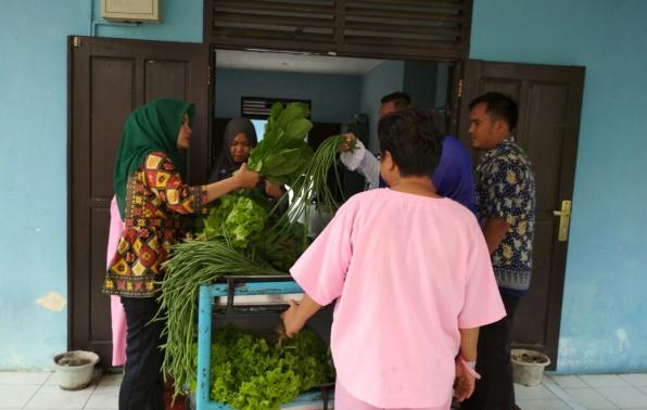 KEPALA DINAS KESEHATAN PROVINSI KEPULAUAN BABEL KUNJUNGI KEBUN PASIEN REHABILITASI